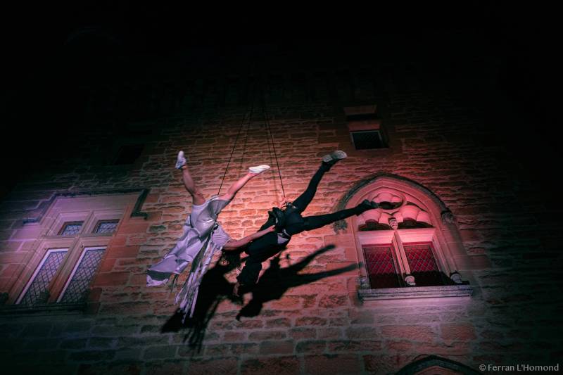 soiree entreprise et cirque