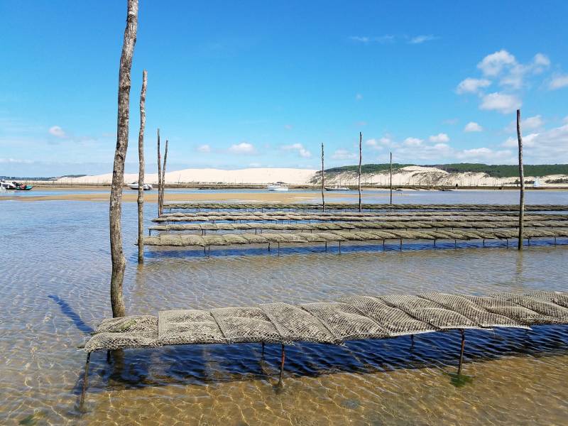 exploitation ostréicole arcachon