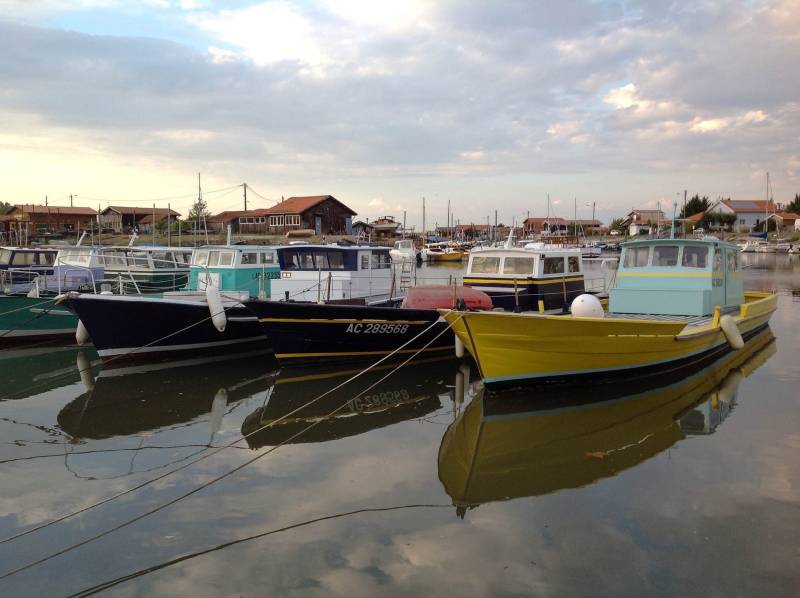 bateau ferret