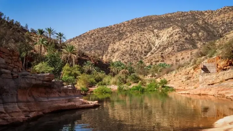 AGADIR - la perle du Souss destination idéale pour votre séminaire d'entreprise au Maroc