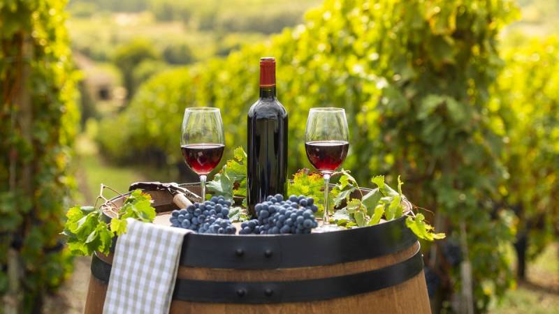 Soirée gastronomique & œnologique d’entreprise – L’art de réunir autour du goût et de l’élégance