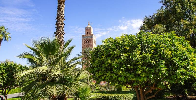 MARRAKECH - Organiser son séminaire à Marrakech ! Un lieu exceptionnel pour un séminaire unique !