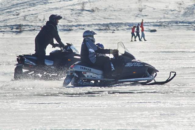 activité incentive montagne