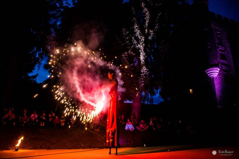soiree entreprise sur le theme medieval