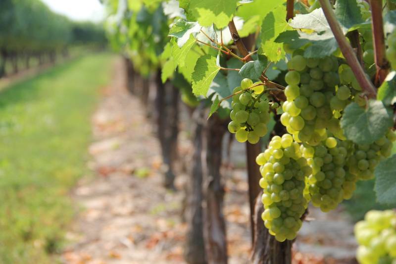 GIRONDE - Séminaire, team building & soirée d'entreprise en Gironde